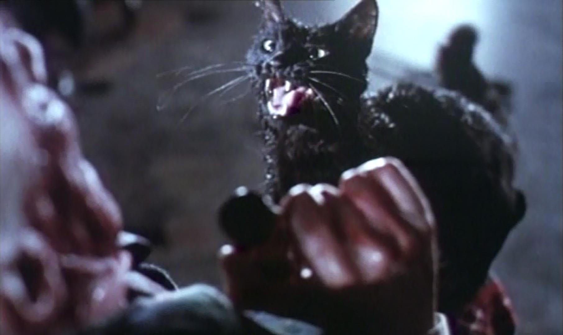 Gatto Nero - A fekete macska (1981) 2. kép