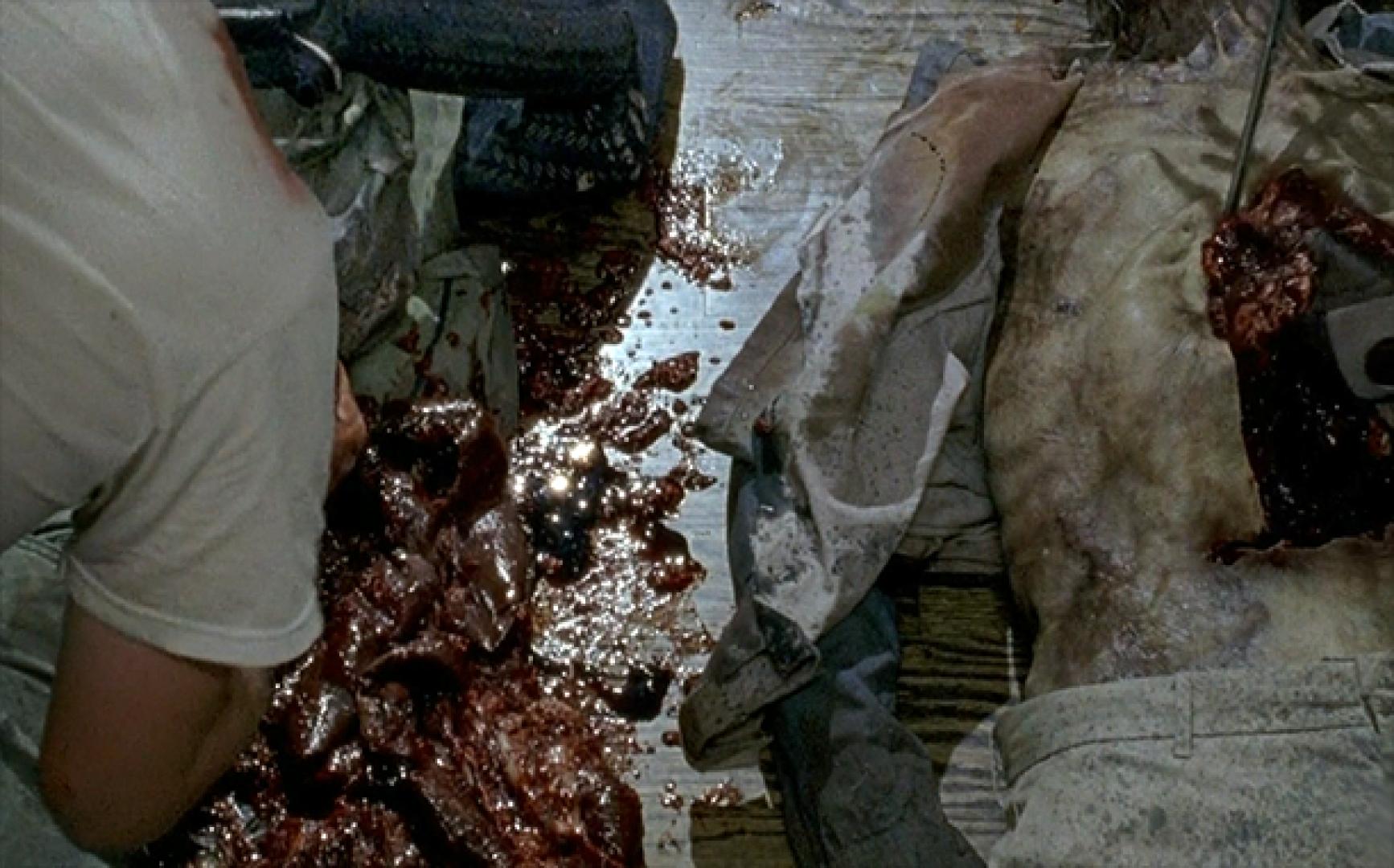 The Walking Dead 6x08 9. kép