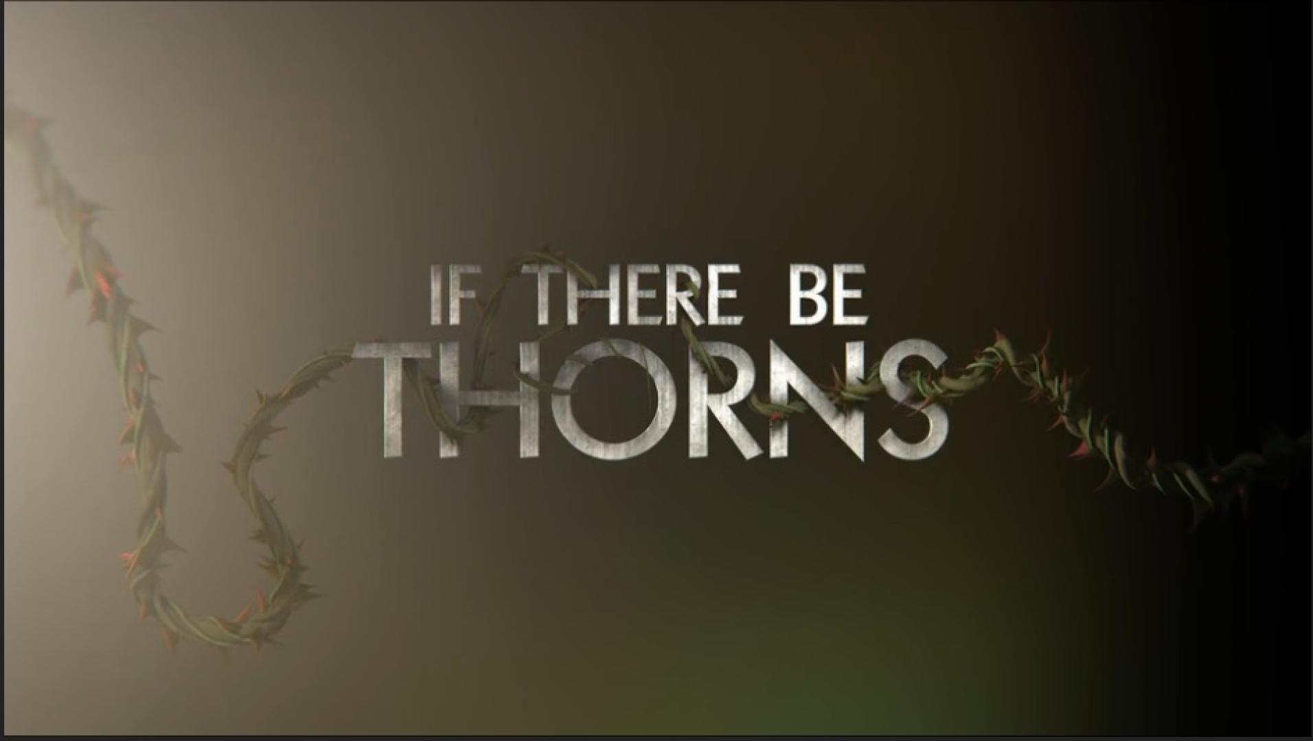 V. C Andrews: If There Be Thorns - Ha szúr a tövis