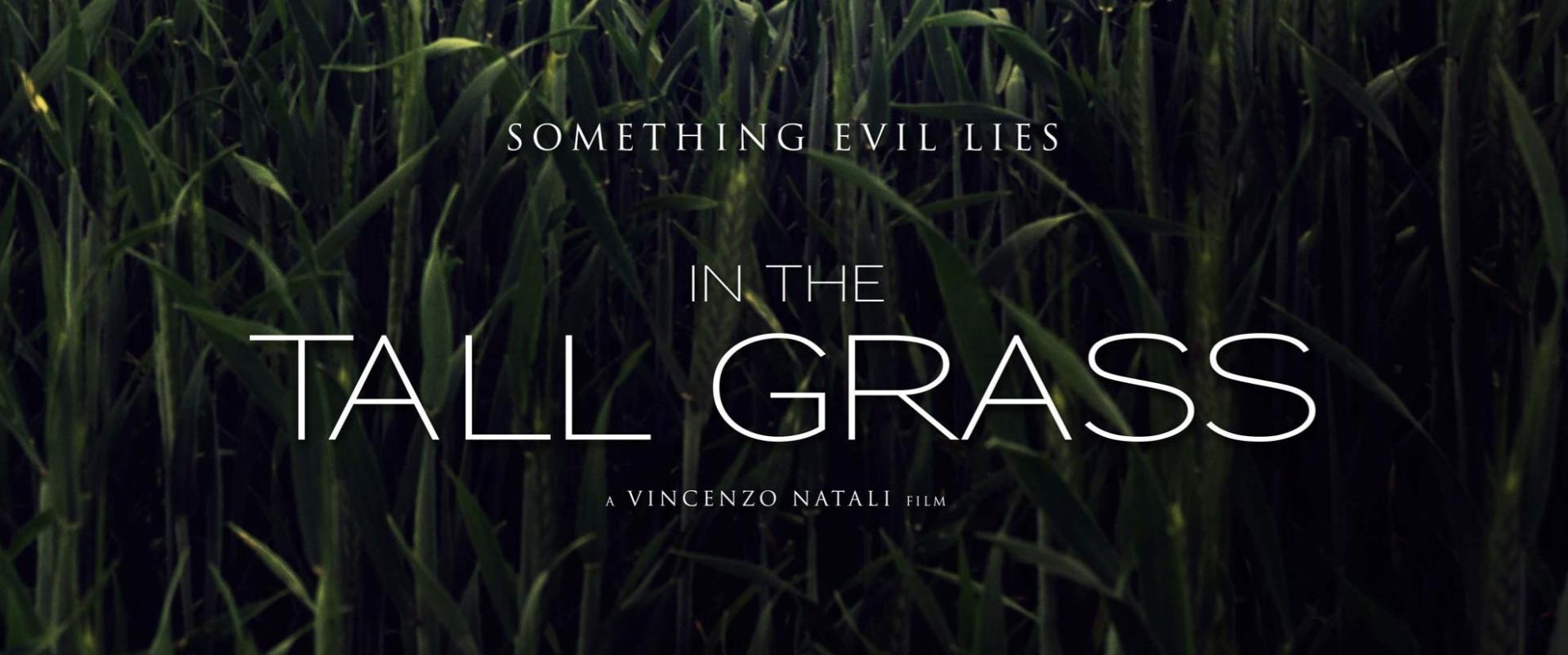 In the Tall Grass - A magas fűben (2019)