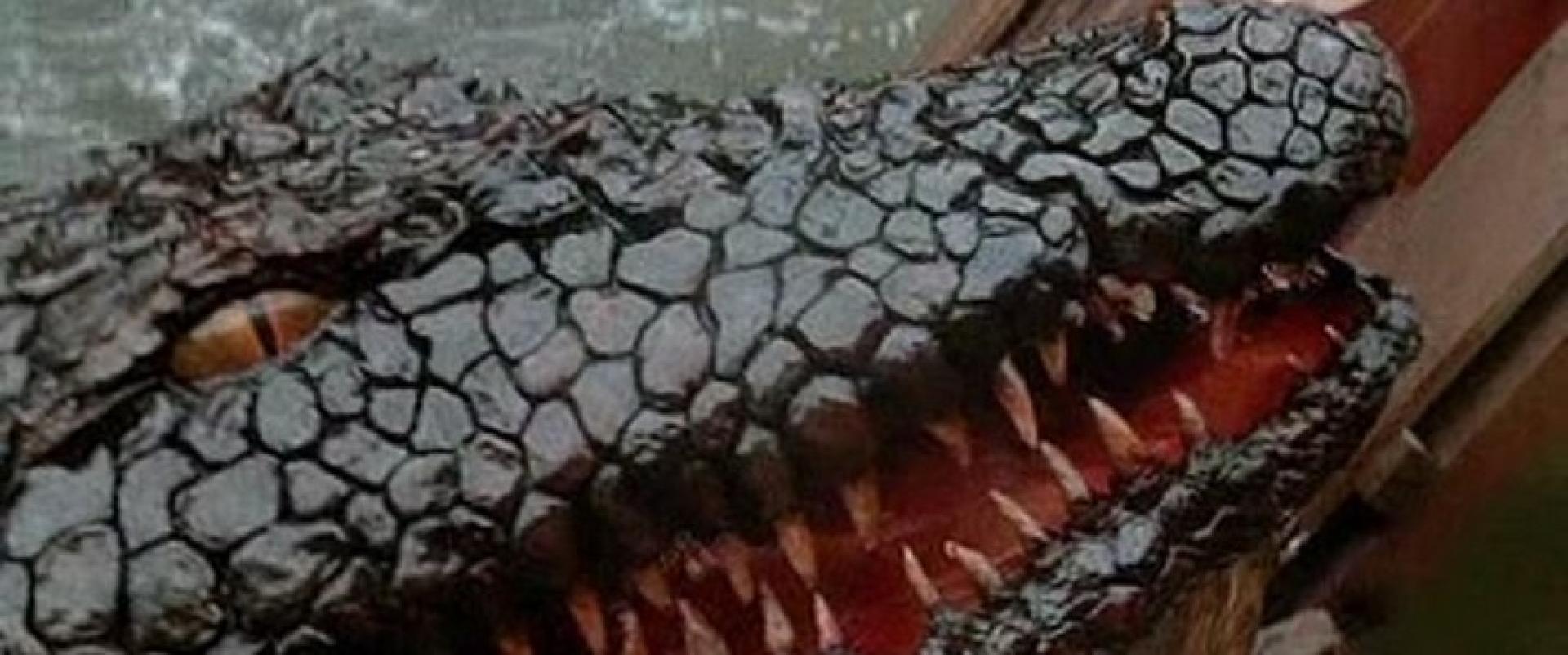 Killer Crocodile 2 - Gyilkos krokodil 2 (1990)