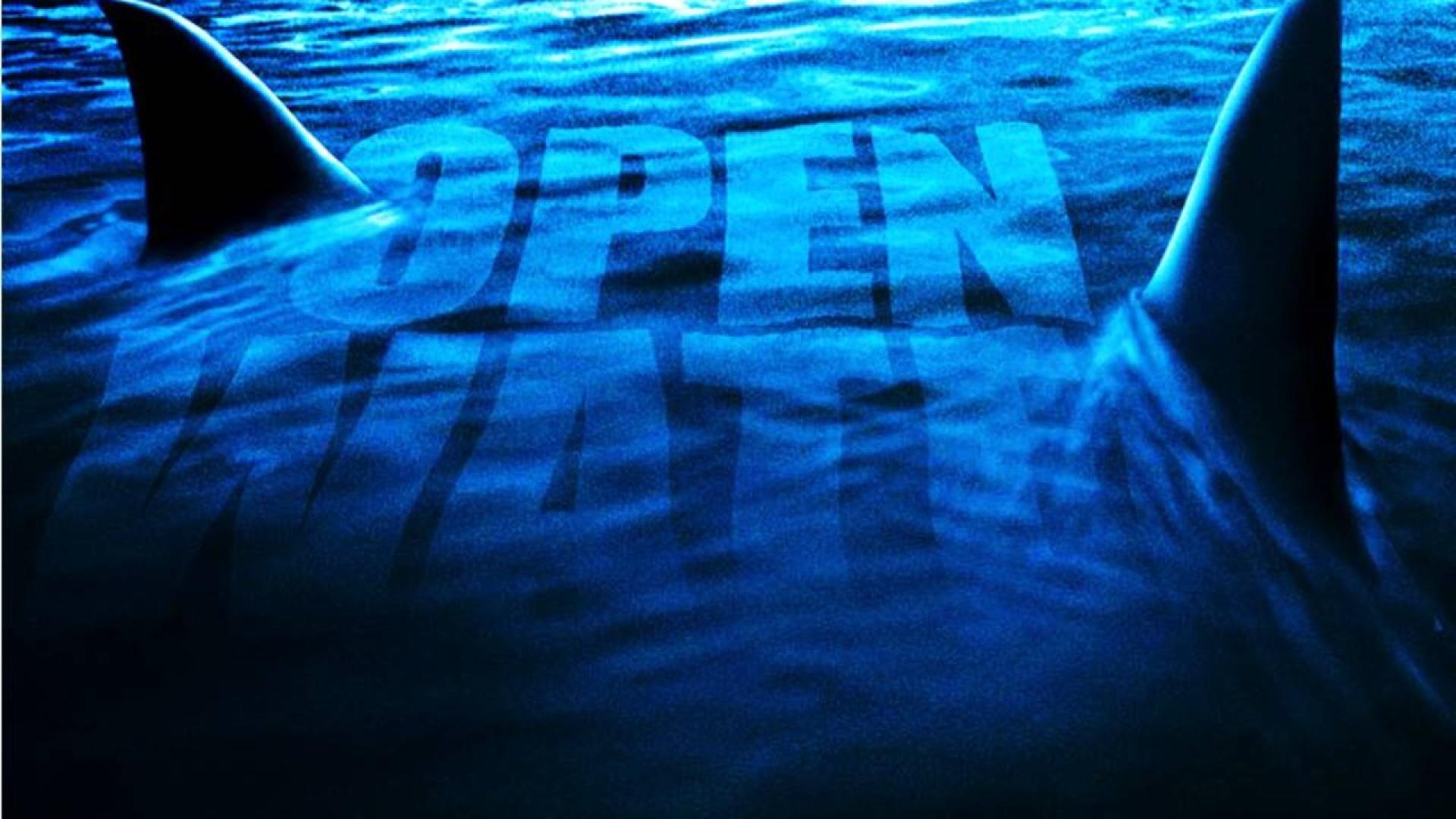 Open Water 3: Cage Dive / Nyílt tengeren - Cápák között (2017)