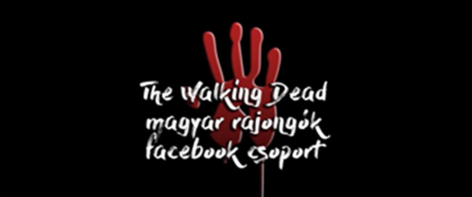 Interjú a The Walking Dead - magyar rajongók Facebook-csoport vezetőjével