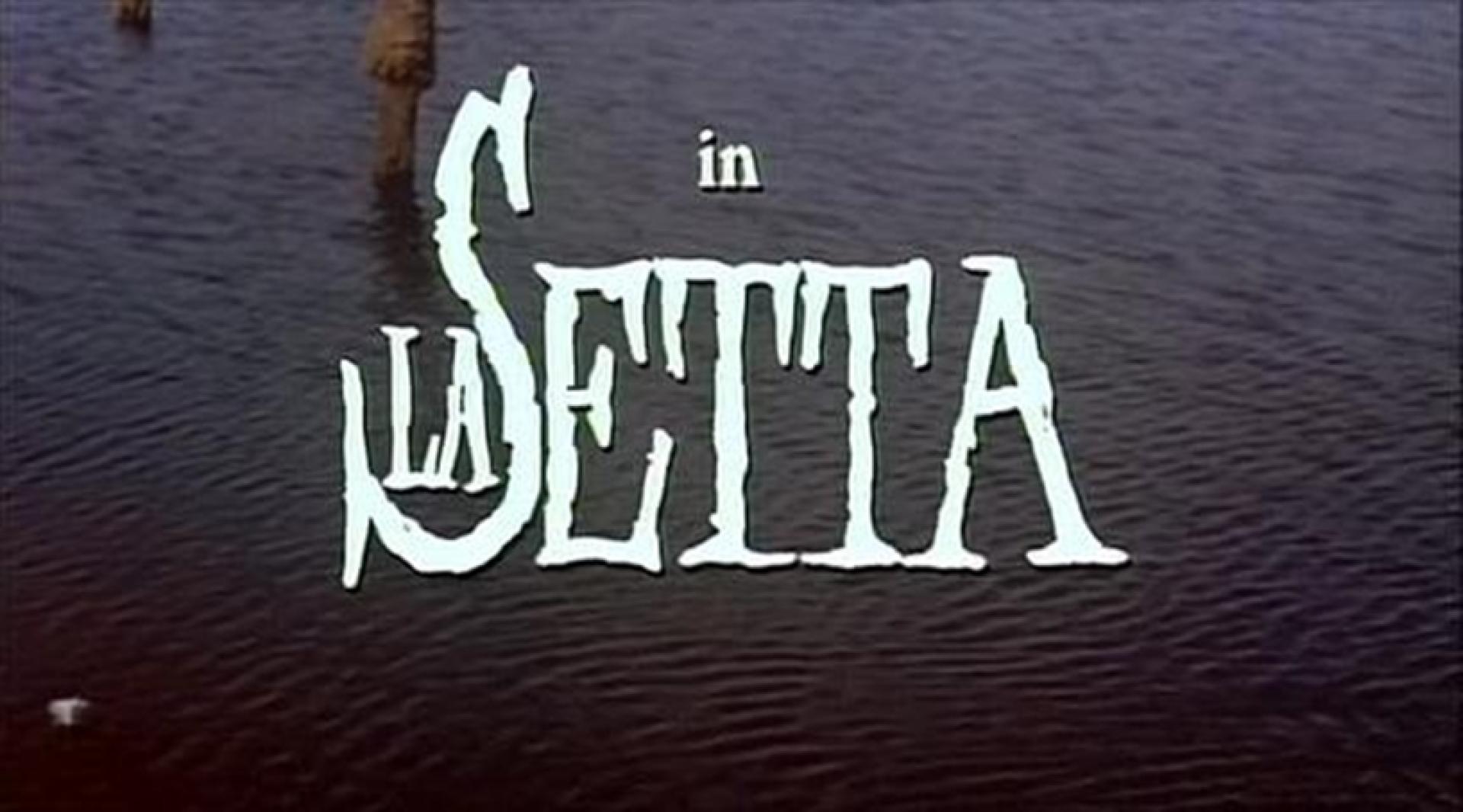 La setta / The Sect (1991)