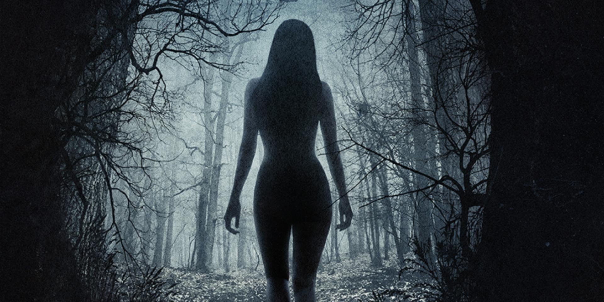 The Witch: A New England Folktale (2015)